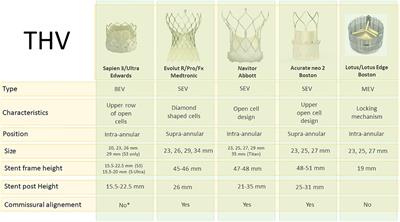 Clinical considerations and challenges in TAV-in-TAV procedures